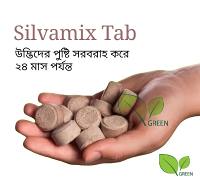Picture of Silvamix tablet fertilizer 10 pcs nutrition tablet for plant