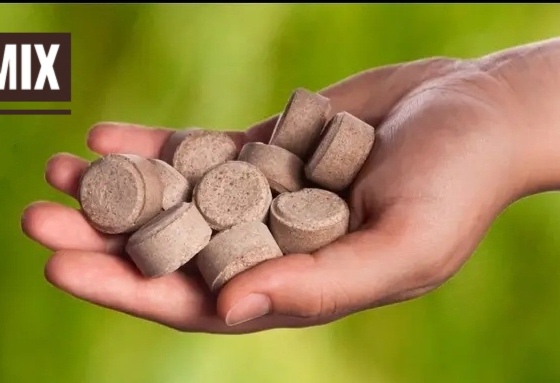 Picture of Silvamix tablet fertilizer 10 pcs nutrition tablet for plant