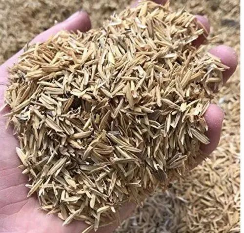 Picture of Rice Husk 01 kg -dry- ready to use
