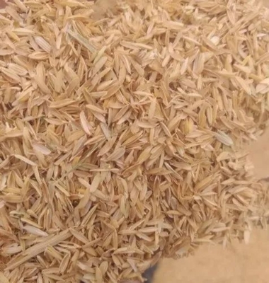 Picture of Rice Husk 01 kg -dry- ready to use