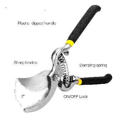 Picture of Pruning shears 8 inch for plant pruning