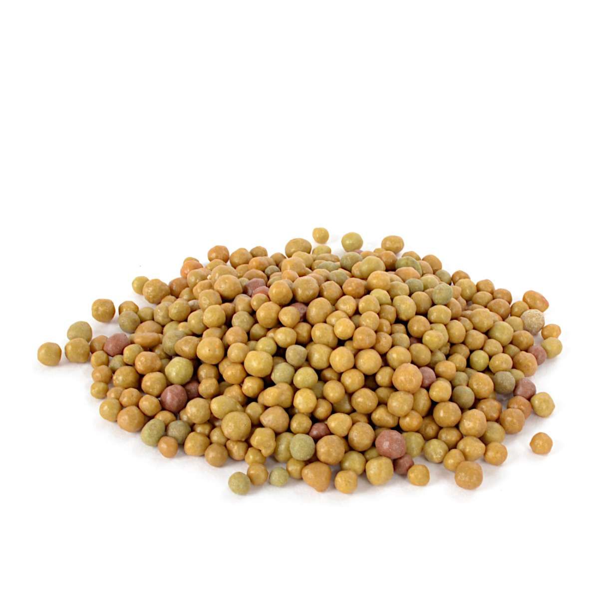 Picture of Osmocote 14 14 14 fertilizer 250 gm intact