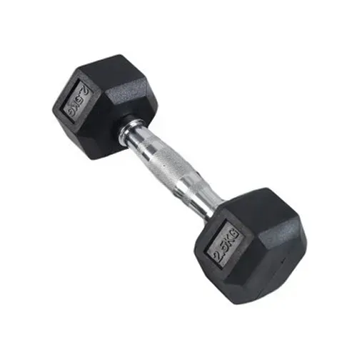 Buy 2.5kg Hex Dumbbell 1 pcs At Best Price in Bangladesh