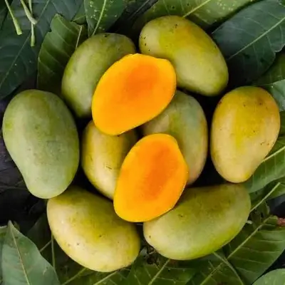 Picture of Garden Fresh Amrupali  Mango 1Kg 