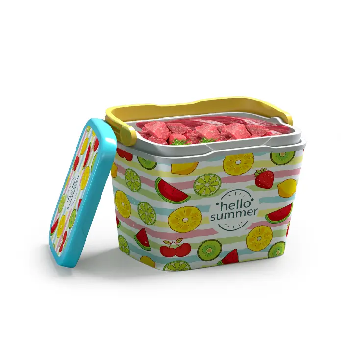 Picture of Thermal Ice Box  Assorted-5 L