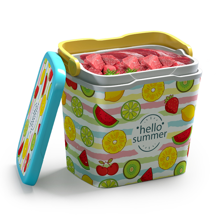 Picture of Thermal Ice Box Assorted -25 L