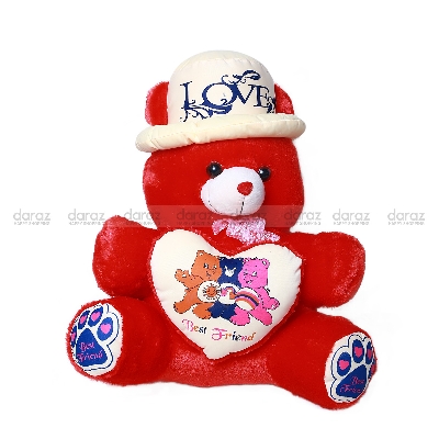 Picture of Teddy Bear for Kid