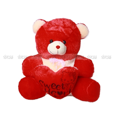 Picture of Teddy Bear for Kid