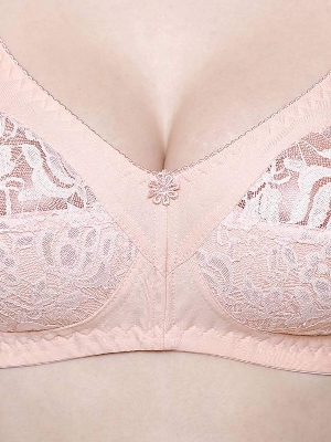 Picture of Premium Quality Women Clothing Net Soft Bra Comfortable Skin Friendly Stylish Bra