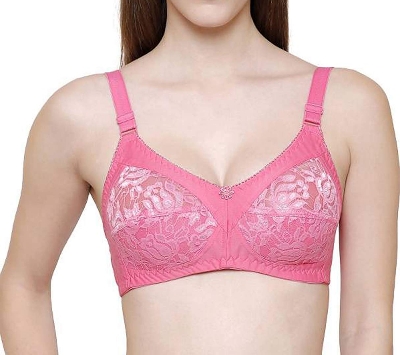 Picture of Premium Quality Women Clothing Net Soft Bra Comfortable Skin Friendly Stylish Bra