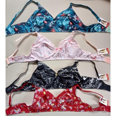 Picture of 4 Piece Stylish Design Stretchable Bra For Women - Bra - Bra For Girls