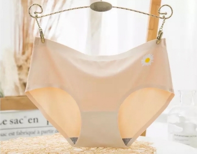 Picture of comfortable long time useable panty underwear for women - One Piece