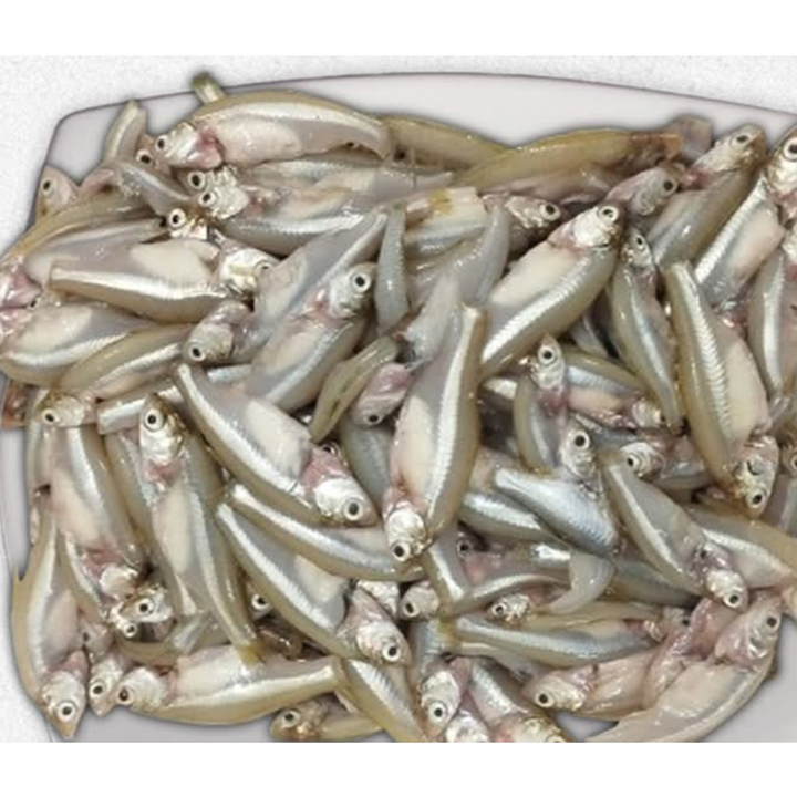 Buy কচক-500-gm-pack at Best Price