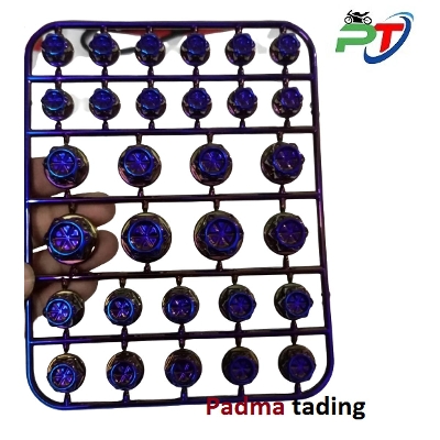 Picture of High Quality 30pcs/set Chrome Plating Screw Nut Cap for Motorcycle , Decoration item- Multi