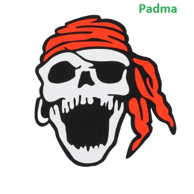 Picture of Motorcycle / Bike Decoration Sticker