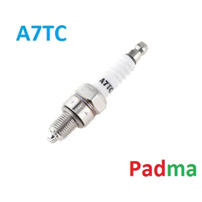 Picture of 2Pcs-Spark Plug For Motorcycle Model- A7TC