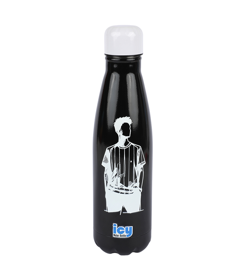 Picture of Premium SS Cola Water Bottle 450 ML || Assorted