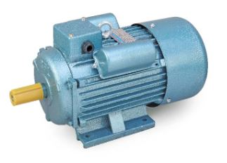 Buy Motor 3.00 HP,220V,2900rpm, (RYC 112M-2) Online at Best Price