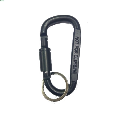 Picture of High quality Key Ring For Biker & Car Key Chains...