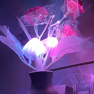 Picture of LED Mushroom Dim Light