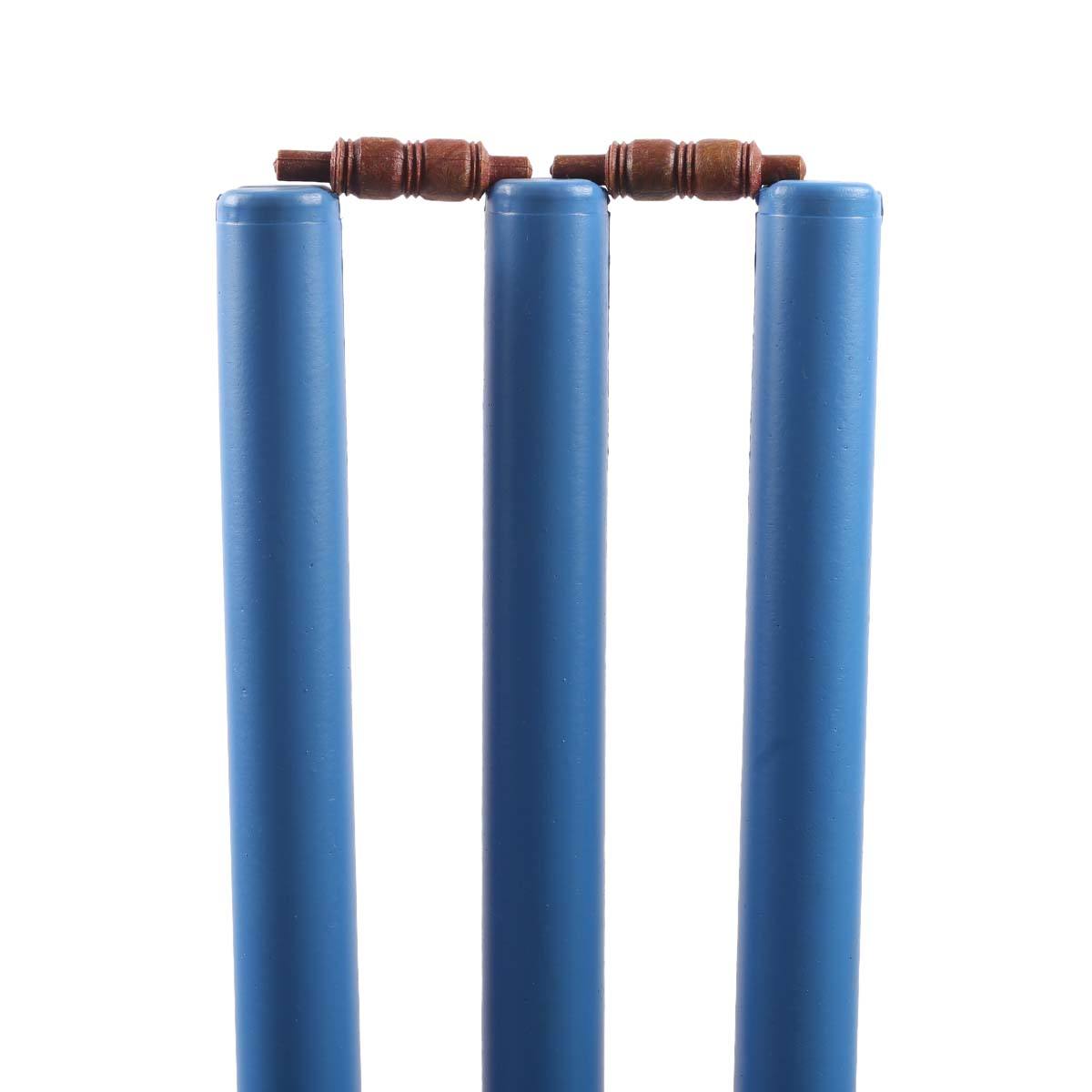 Picture of Plastic Cricket Stamp - Mark Your Cricket Equipment With This Blue Plastic Cricket Stamp - It'S Ideal For Personalizing Your Gear