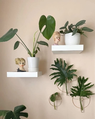 Picture of (Test Product)  Furnisha  2pc (6X6") Bedroom Plant Shelf Stylish Wooden Wall Shelves for Bedroom, Living Room, Bathroom, Office, Kitchen Bedside Phone and Accessories Holder Computer Speaker