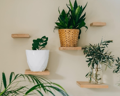 Picture of (Test Product)  Furnisha  2pc (6X6") Bedroom Plant Shelf Stylish Wooden Wall Shelves for Bedroom, Living Room, Bathroom, Office, Kitchen Bedside Phone and Accessories Holder Computer Speaker