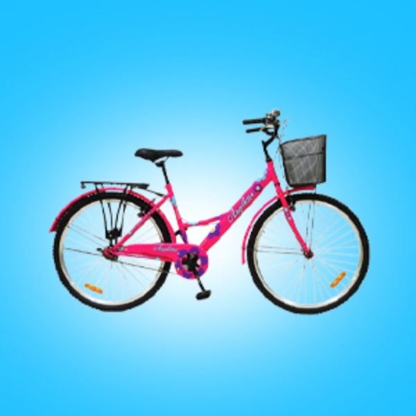 Picture for category Girls Bicycle
