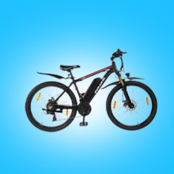 Picture for category Electric Bicycle