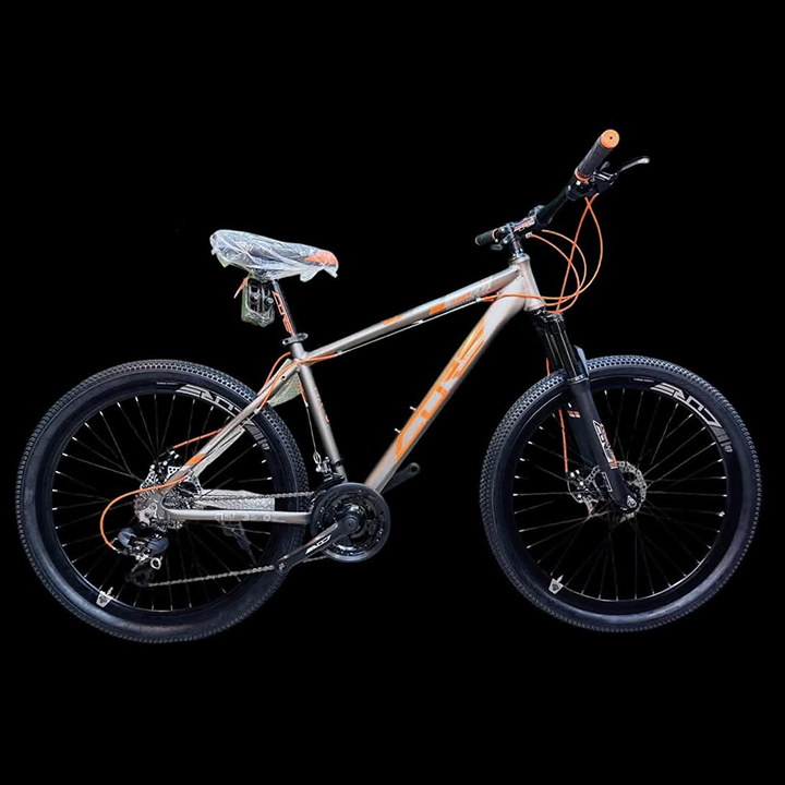 Picture of Core Nio 100 26 inch 24 Speed Silver Bicycle