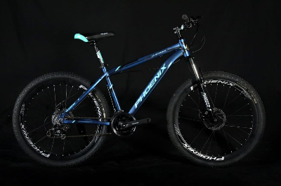 Buy  Phoenix Duster A 26 inch 24 Speed Blue Bicycle  Best Price In Bangladesh