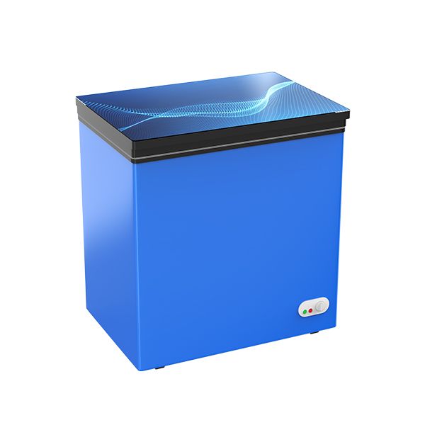 Picture of Minister Freezer D-170G BLUE