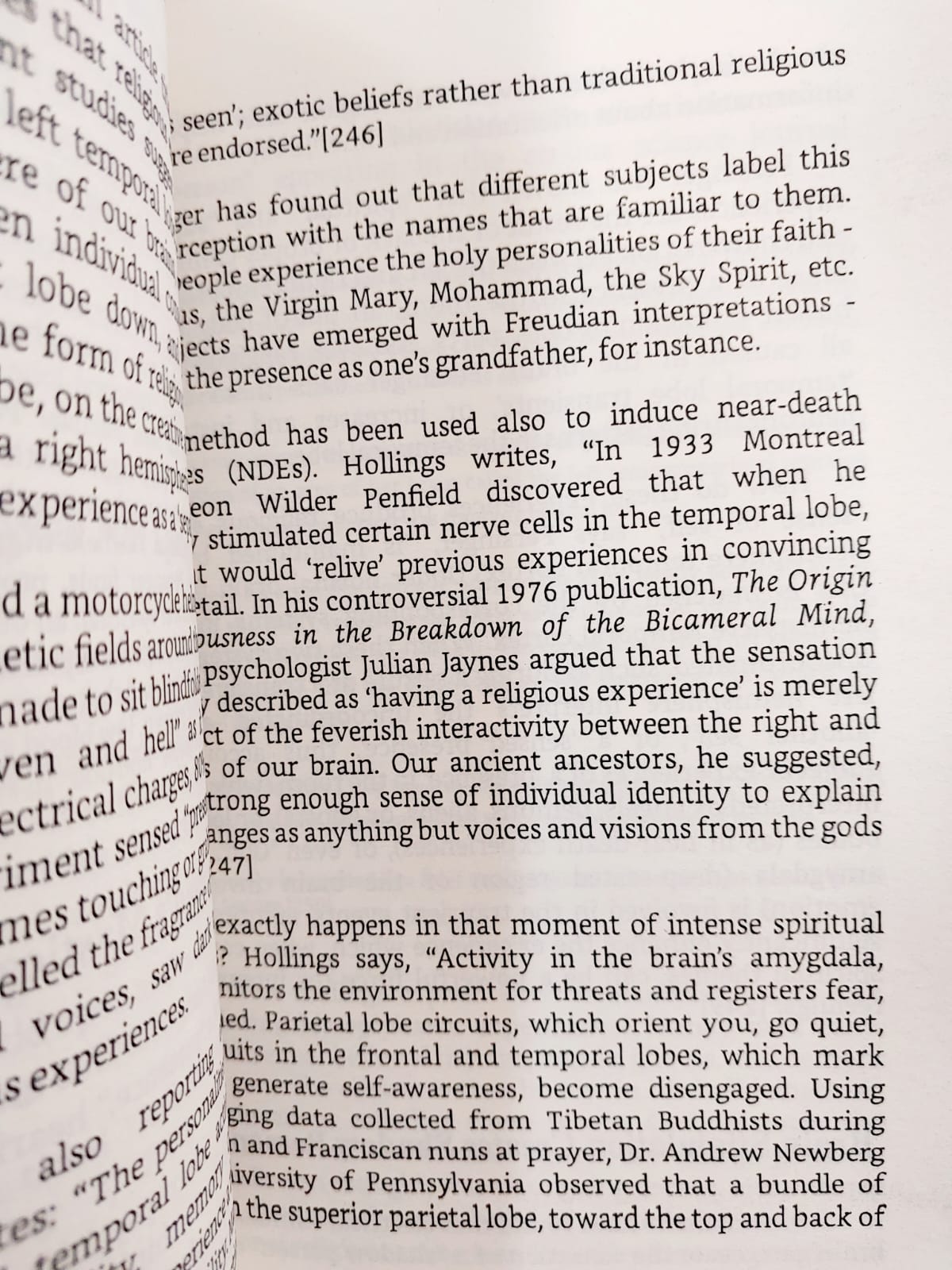 Picture of The First Muslim: The Story of Muhammad by Lesley Hazleton (Premium Quality)