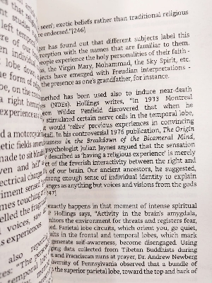 Picture of The First Muslim: The Story of Muhammad by Lesley Hazleton (Premium Quality)