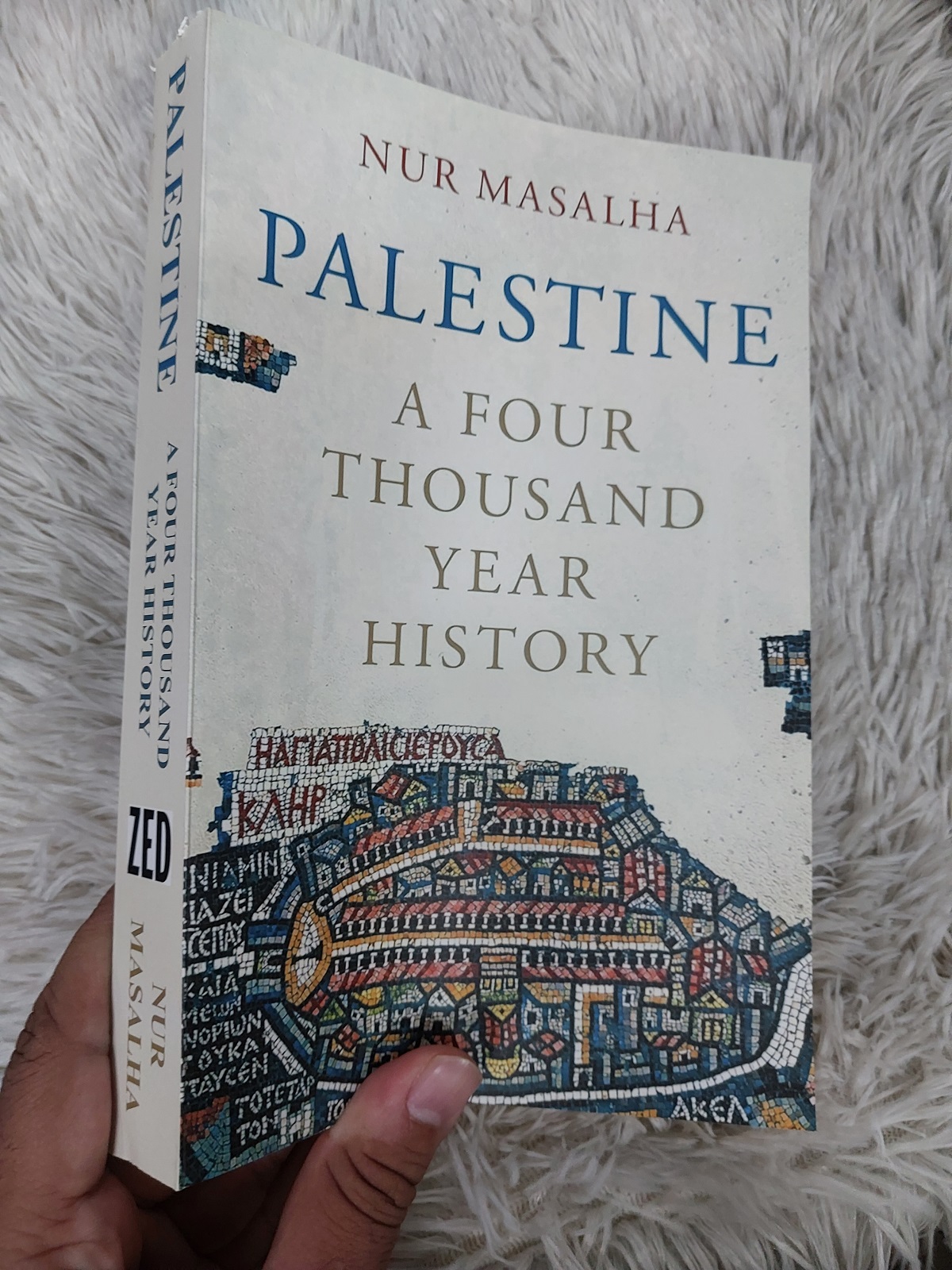 Picture of Palestine: A Four Thousand Year History by Nur-eldeen Masalha