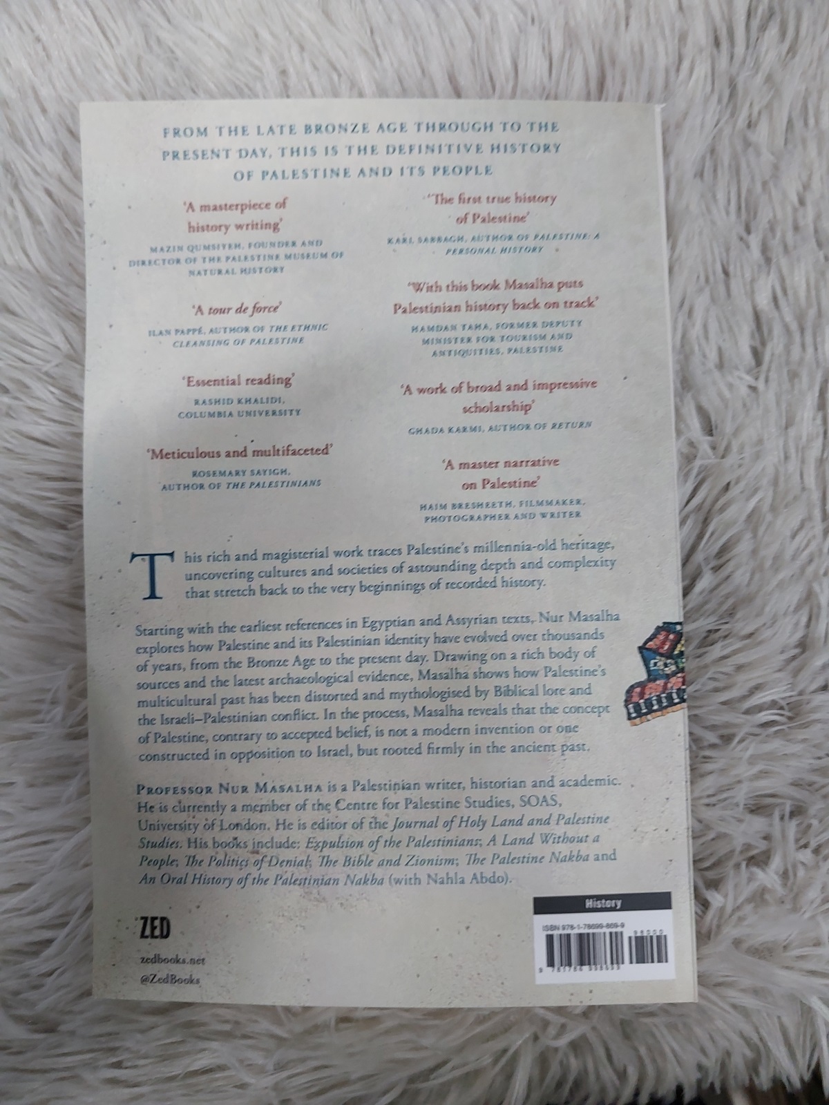 Picture of Palestine: A Four Thousand Year History by Nur-eldeen Masalha