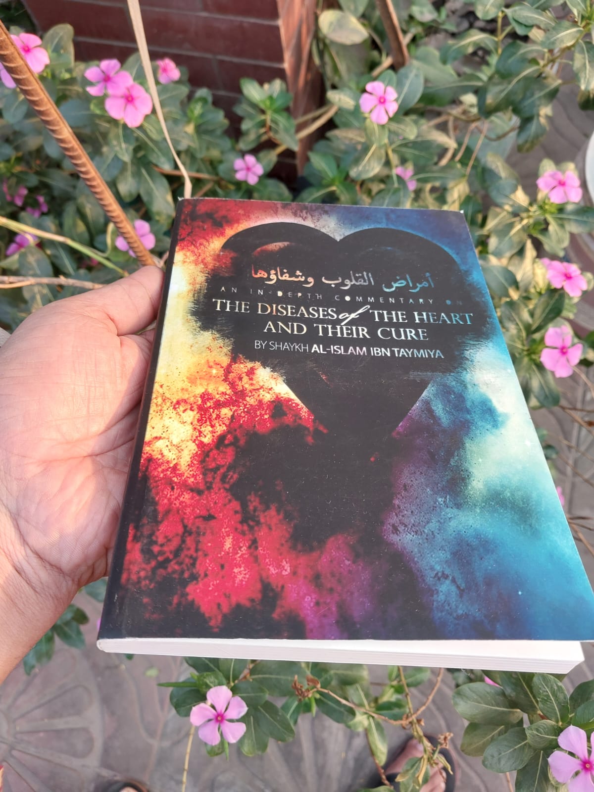 Picture of Diseases of the Hearts and their Cures by Ibn Taymiyyah