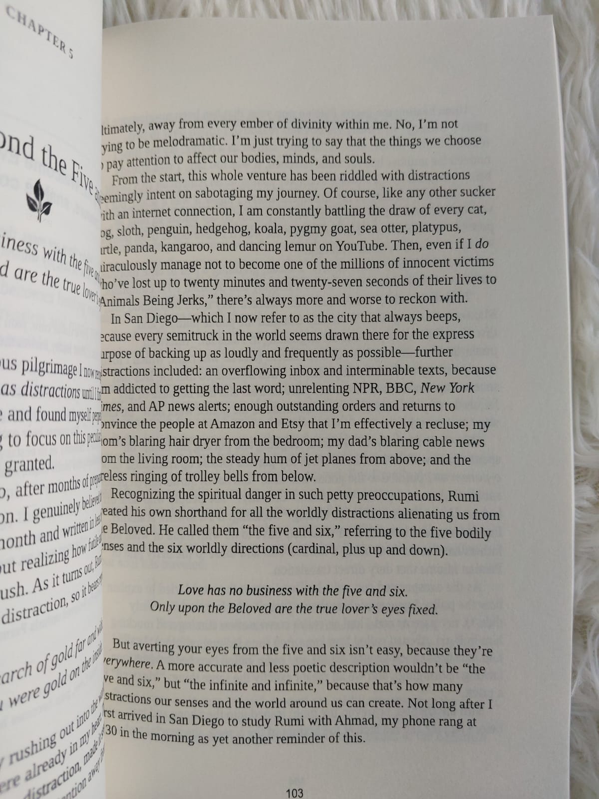 Picture of The Rumi Prescription: How an Ancient Mystic Poet Changed My Modern Manic Life by Melody Moezzi