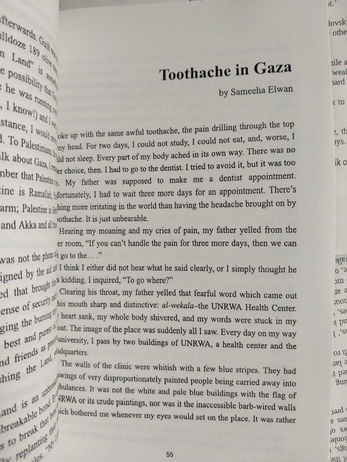 Picture of Gaza Writes Back: Short Stories from Young Writers in Gaza, Palestine by Refaat Alareer