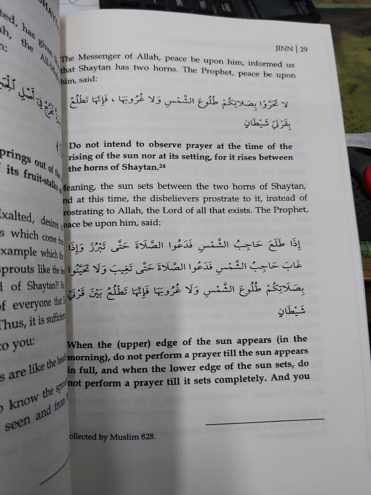 Picture of Jinn By Shaykh Dr. Muhammad Raslan