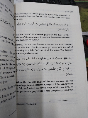 Picture of Jinn By Shaykh Dr. Muhammad Raslan