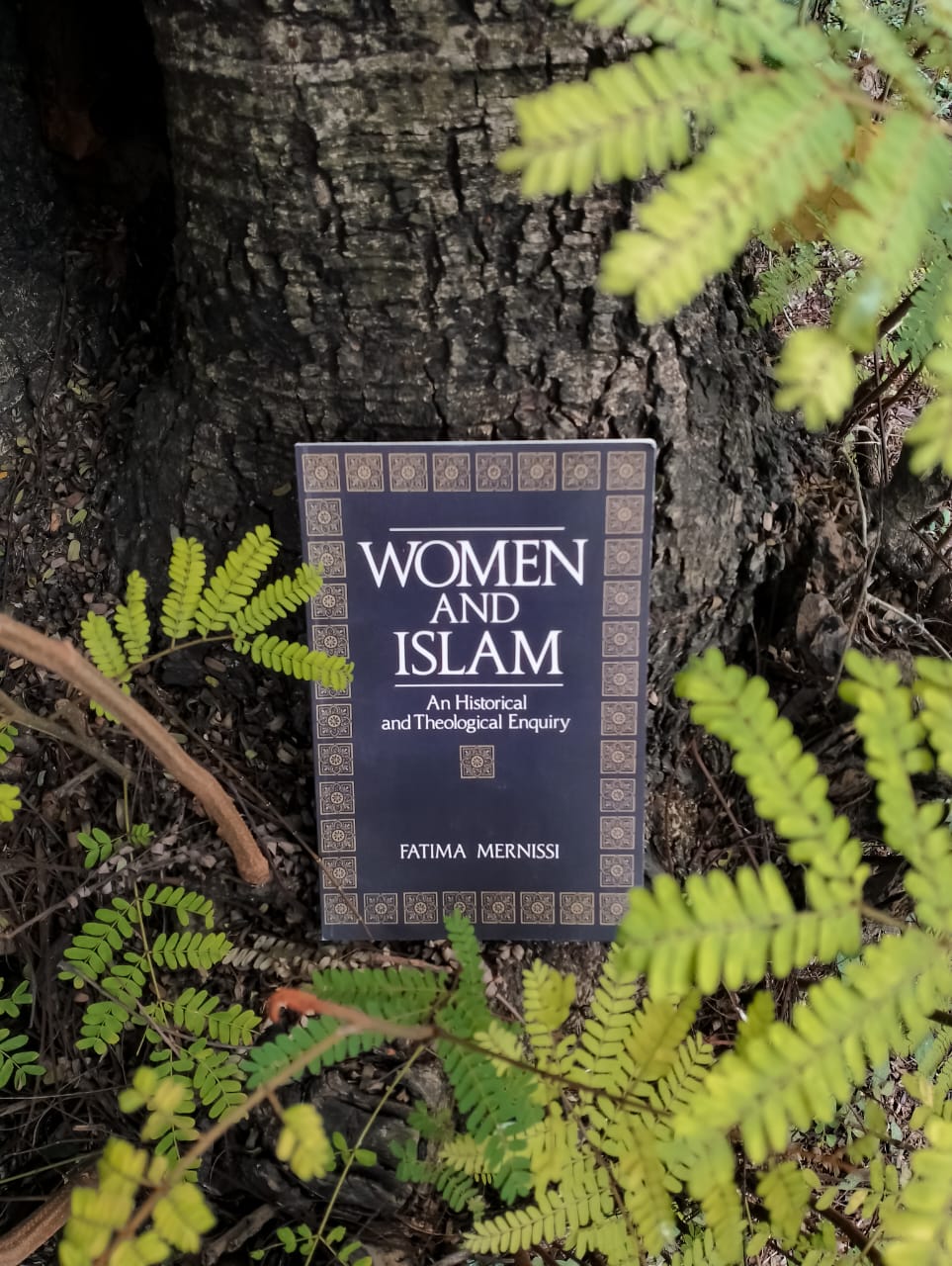 Picture of Women and Islam: An Historical and Theological Enquiry by Fatima Mernissi