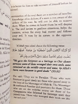 Picture of Supporting the Distressed Against the Tricks of Satan by Imam Ibn Al Qayyim