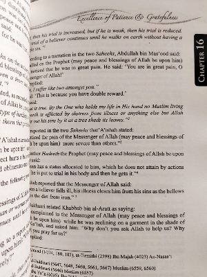 Picture of Excellence Of Patience And Gratefulness by Ibn Qayyim Al Jawziyyah (Paperback)