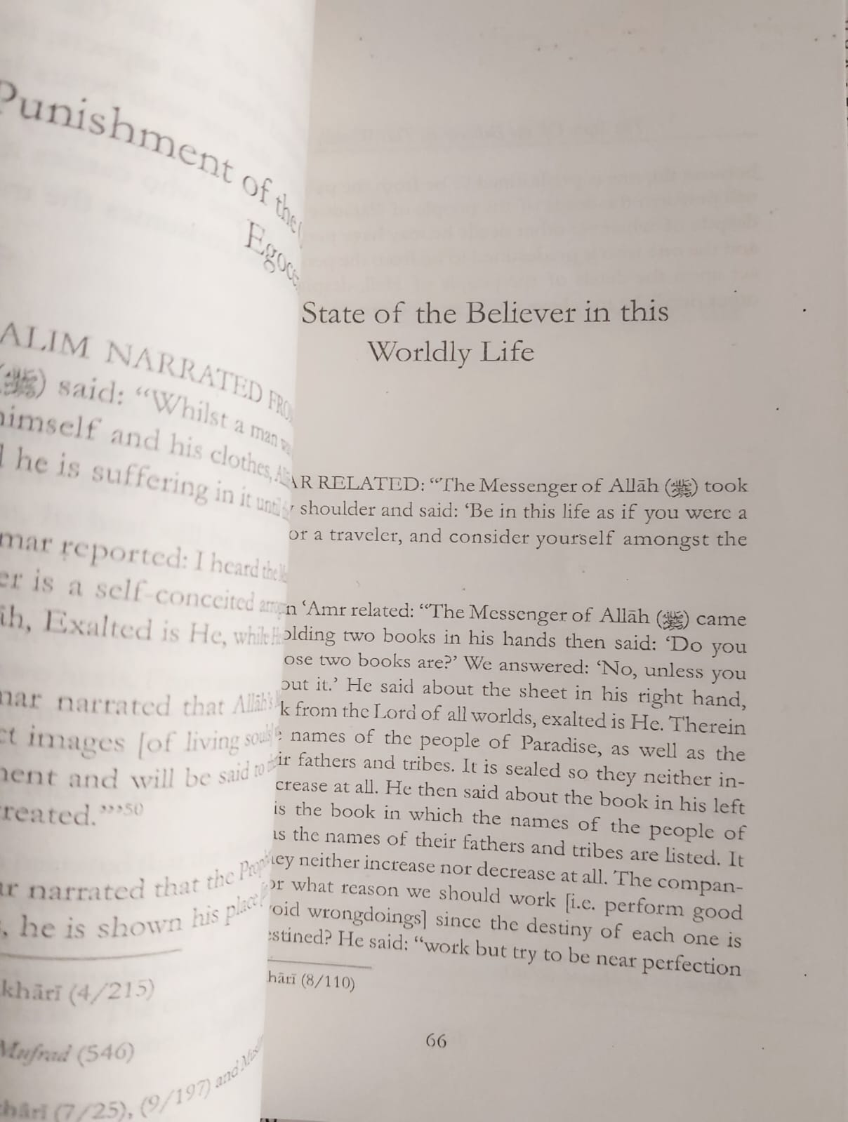 Picture of Disturber of the Hearts by Ibn al-Jawzi