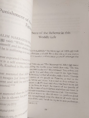 Picture of Disturber of the Hearts by Ibn al-Jawzi