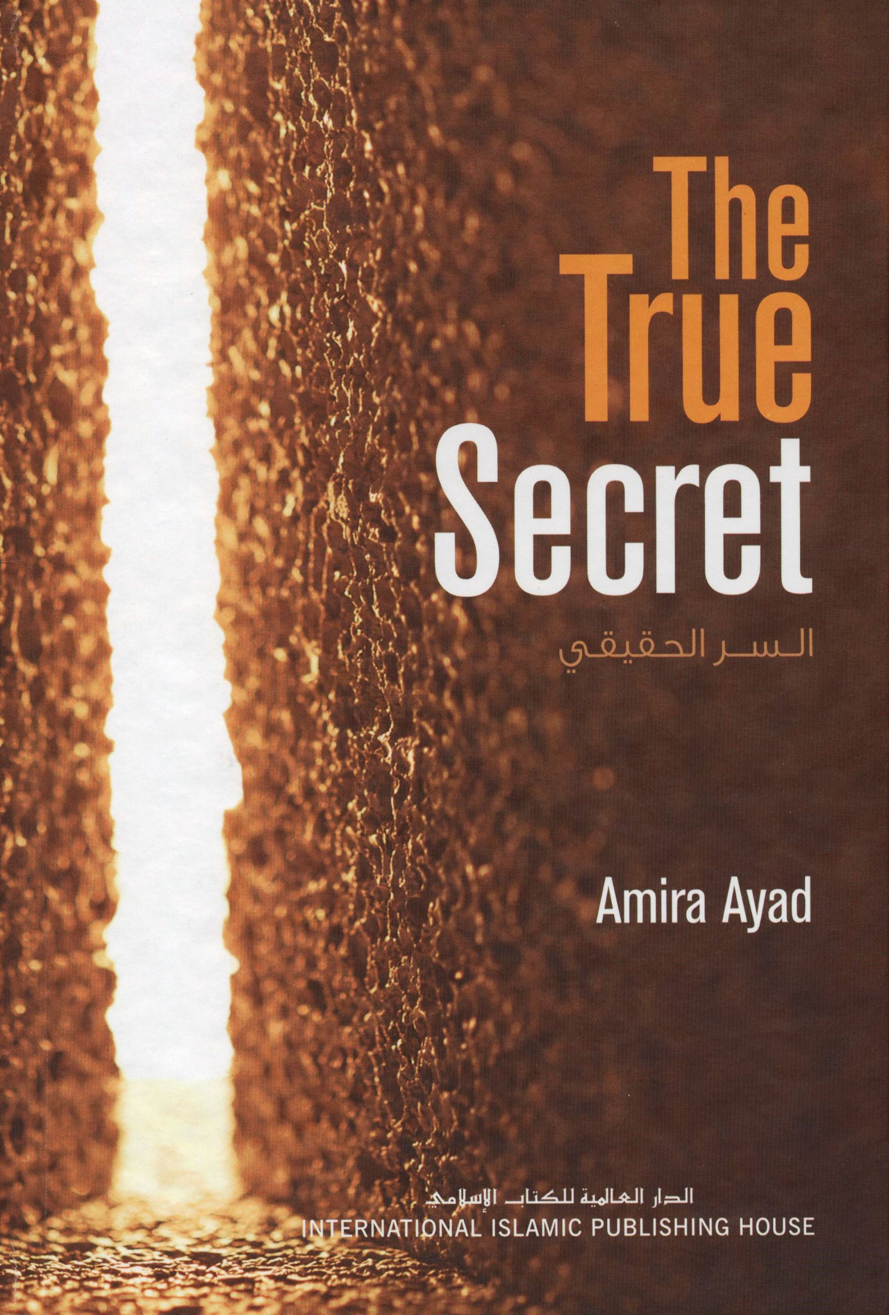 Picture of The True Secret by Amira Ayad