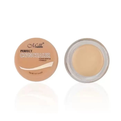 Picture of Menow Perfect Concealer - 01
