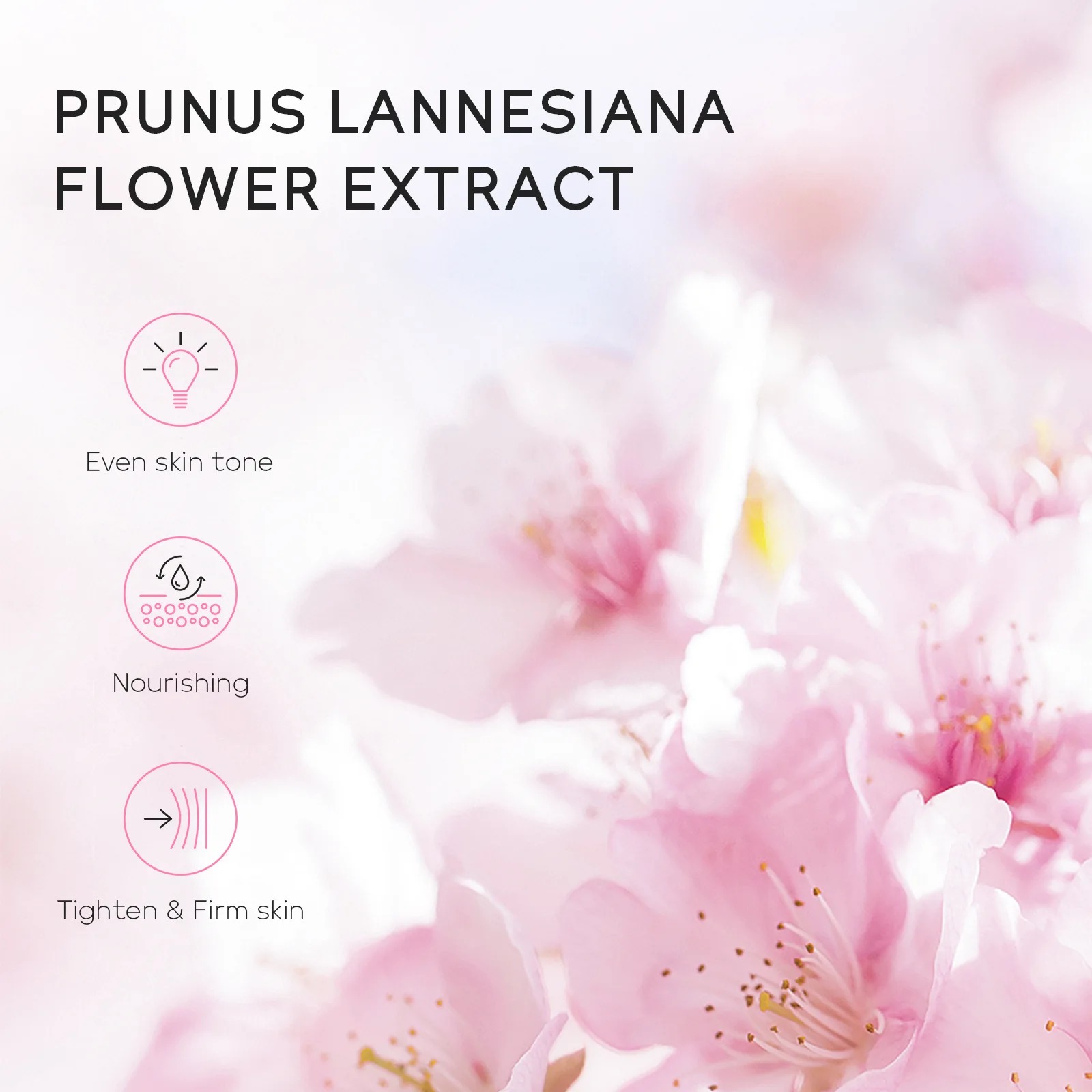 Picture of Laikou Japan Sakura Bubble Bath Bomb-30g