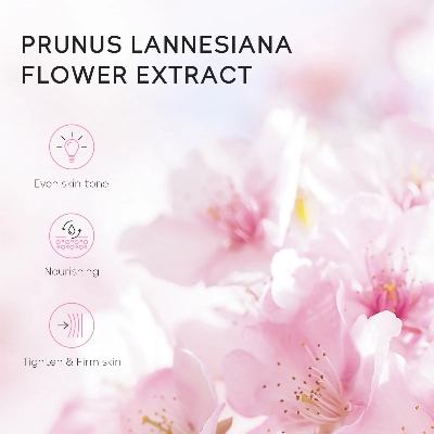 Picture of Laikou Japan Sakura Bubble Bath Bomb-30g